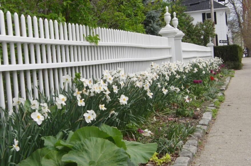 fence-879×580-1